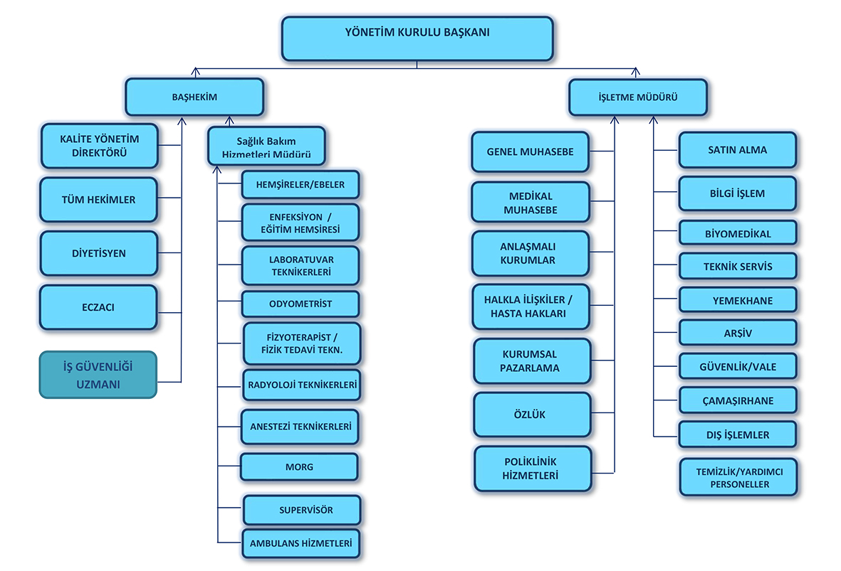 delta hospital organizasyon şeması